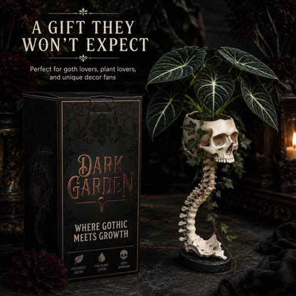 Outdoor Skull Planter Bold Decor for Plant Lovers for Garden Display