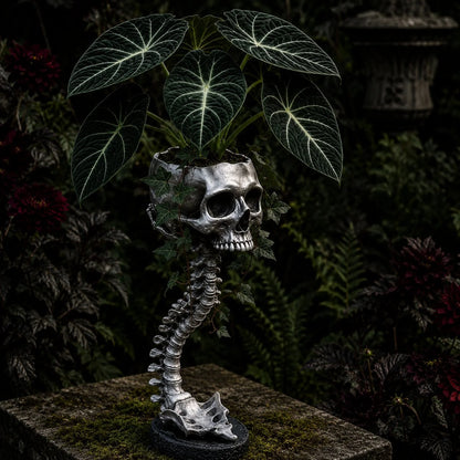 Outdoor Skull Planter Bold Decor for Plant Lovers for Garden Display