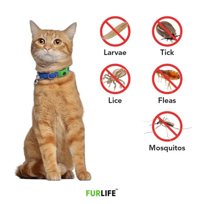 Purpose-Built 12 Months Flea and Tick Free for Everyday Use