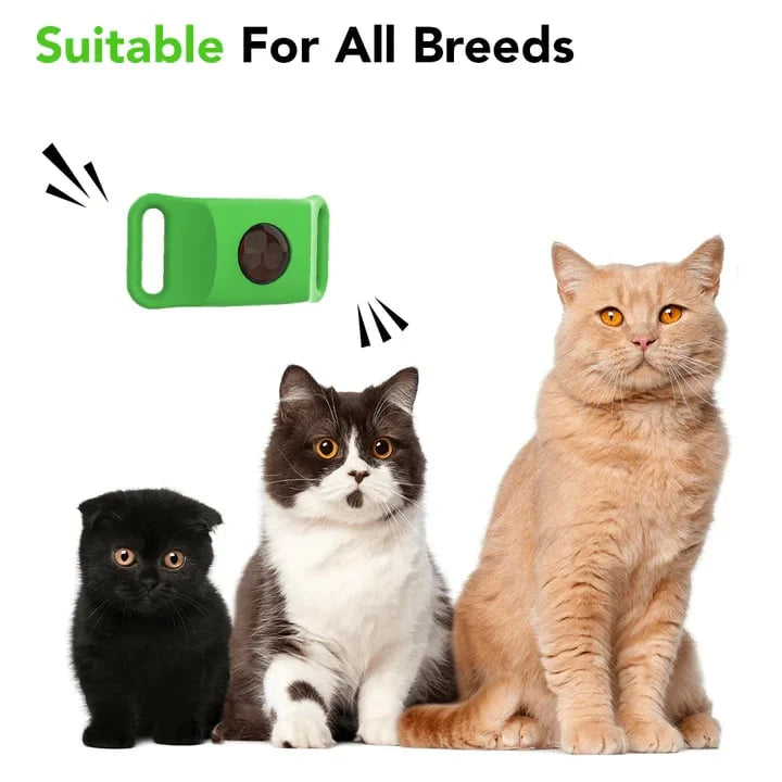 Purpose-Built 12 Months Flea and Tick Free for Everyday Use