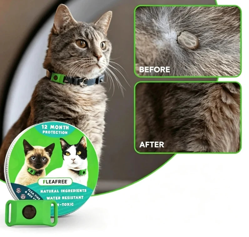 Purpose-Built 12 Months Flea and Tick Free for Everyday Use