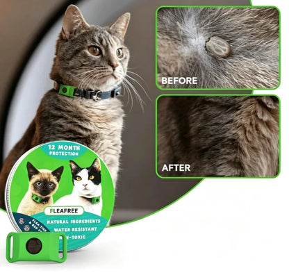Purpose-Built 12 Months Flea and Tick Free for Everyday Use