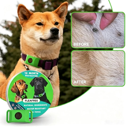 Purpose-Built 12 Months Flea and Tick Free for Everyday Use