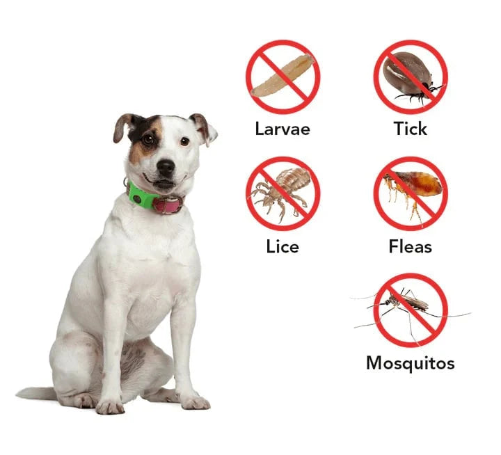 Purpose-Built 12 Months Flea and Tick Free for Everyday Use