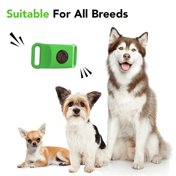 Purpose-Built 12 Months Flea and Tick Free for Everyday Use
