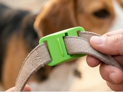 Purpose-Built 12 Months Flea and Tick Free for Everyday Use