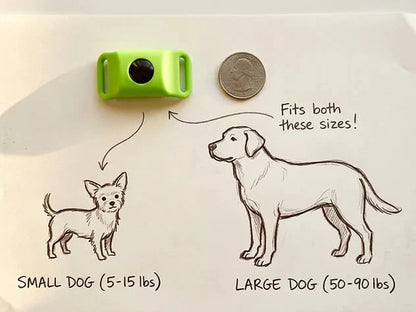 Purpose-Built 12 Months Flea and Tick Free for Everyday Use