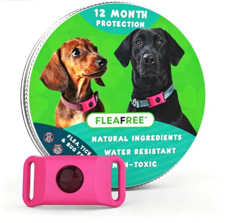 Purpose-Built 12 Months Flea and Tick Free for Everyday Use