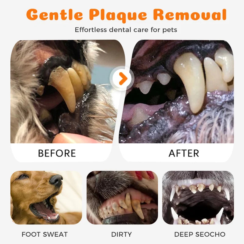 Vehicle-Ready Pet Dental Care – Remove Tartar & Freshen