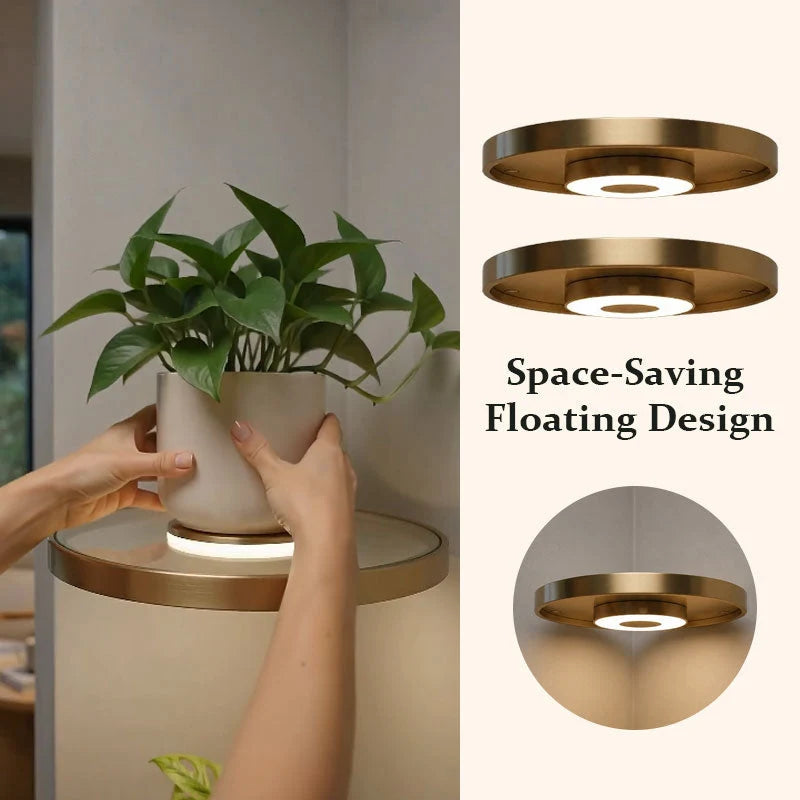 Decorative Floating Wall Shelf with Built-in Ambient LED Light&USB