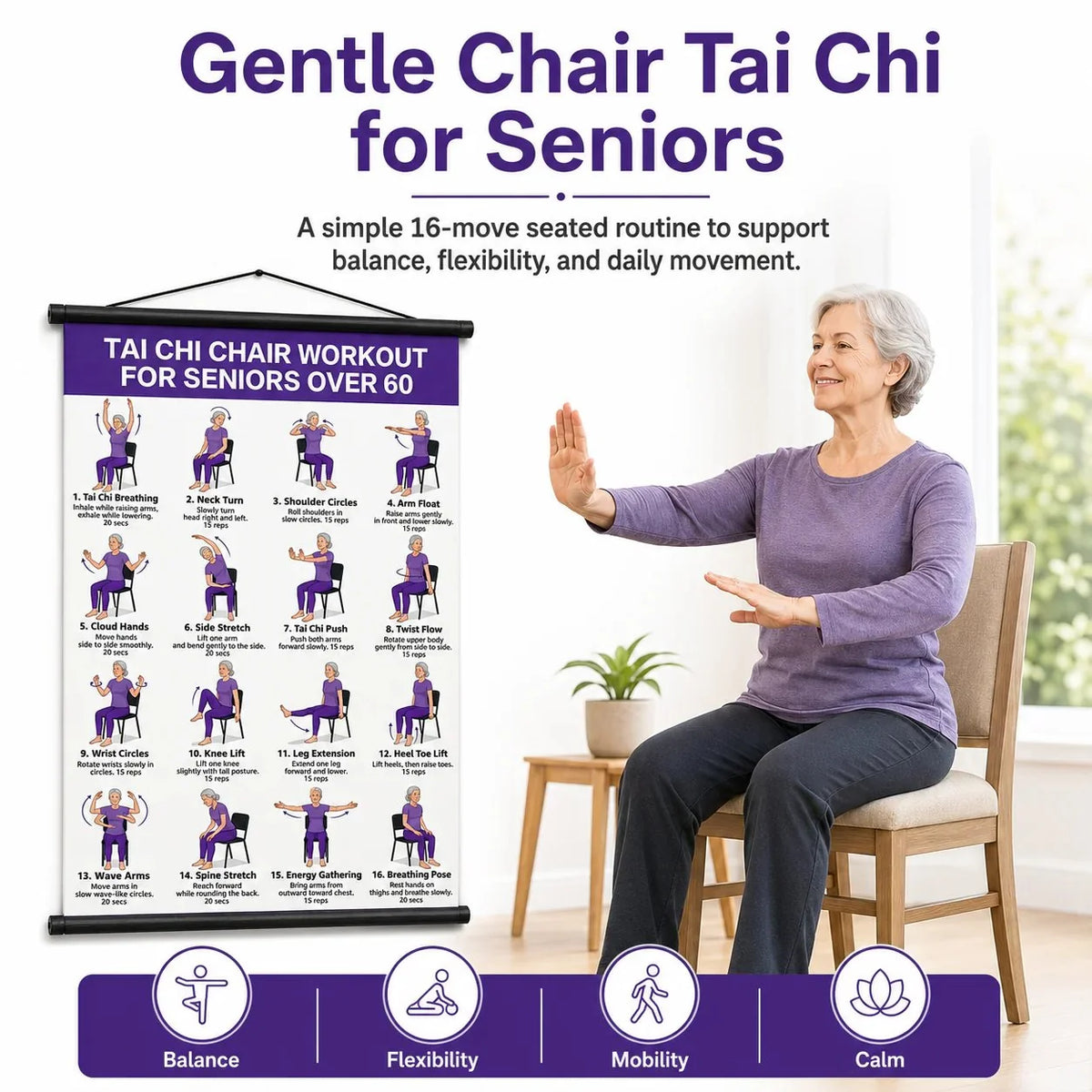 Tai Chi Chair Exercise Workout Chart for Seniors, 16 x 24 Inches