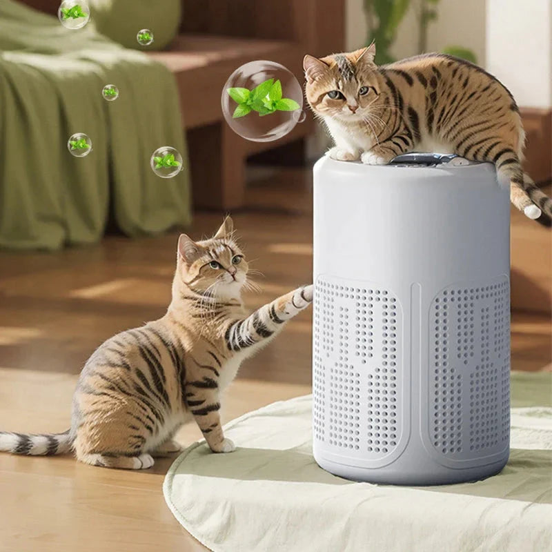 Easy-Care Time- Home Air Purifier – Multi-Layer Filter, Quiet