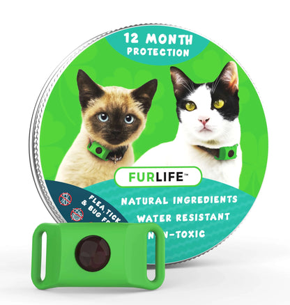 Purpose-Built 12 Months Flea and Tick for Everyday Use