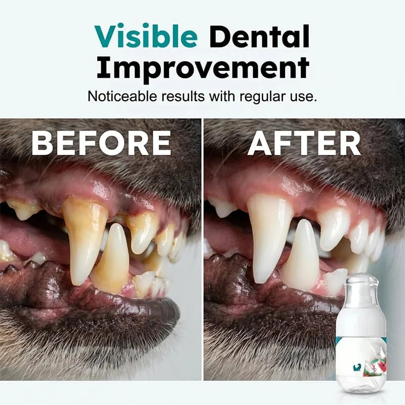 Vehicle-Ready No-Brush Pet Dental Care Liquid– Pet Dental Care Made
