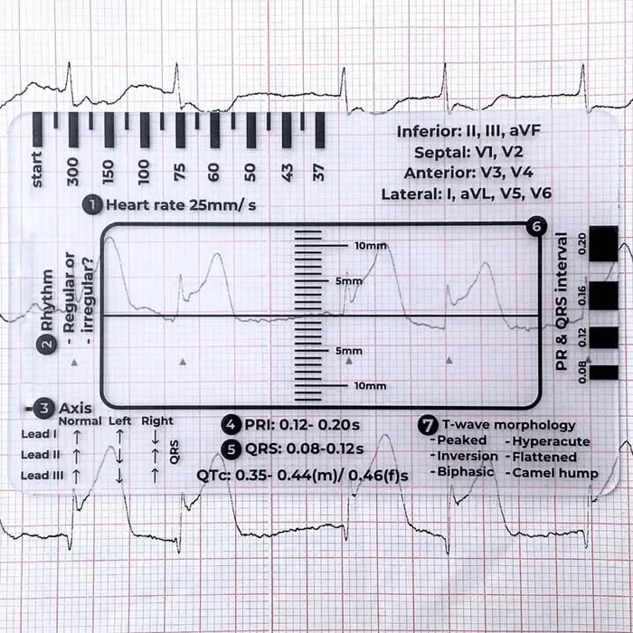Purpose-Built ECG 7 Step Ruler for Everyday Use