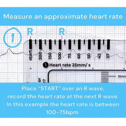 Purpose-Built ECG 7 Step Ruler for Everyday Use
