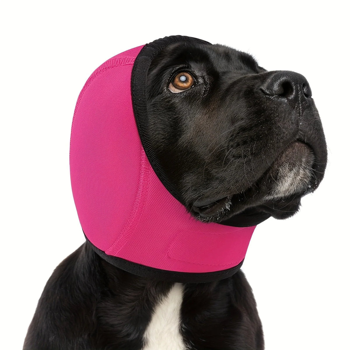 Comfort-Focused Dog Calming Hoodie Ear – Swim Cap for Everyday Wear
