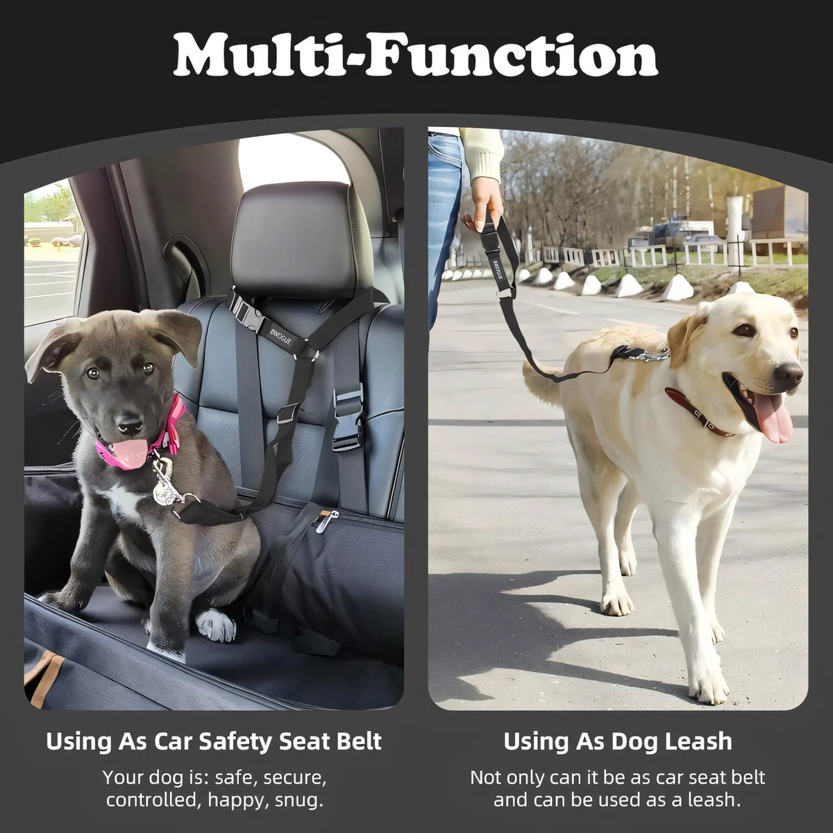 Pet-Friendly Dog Travel Safety Belts for Daily Pet Care