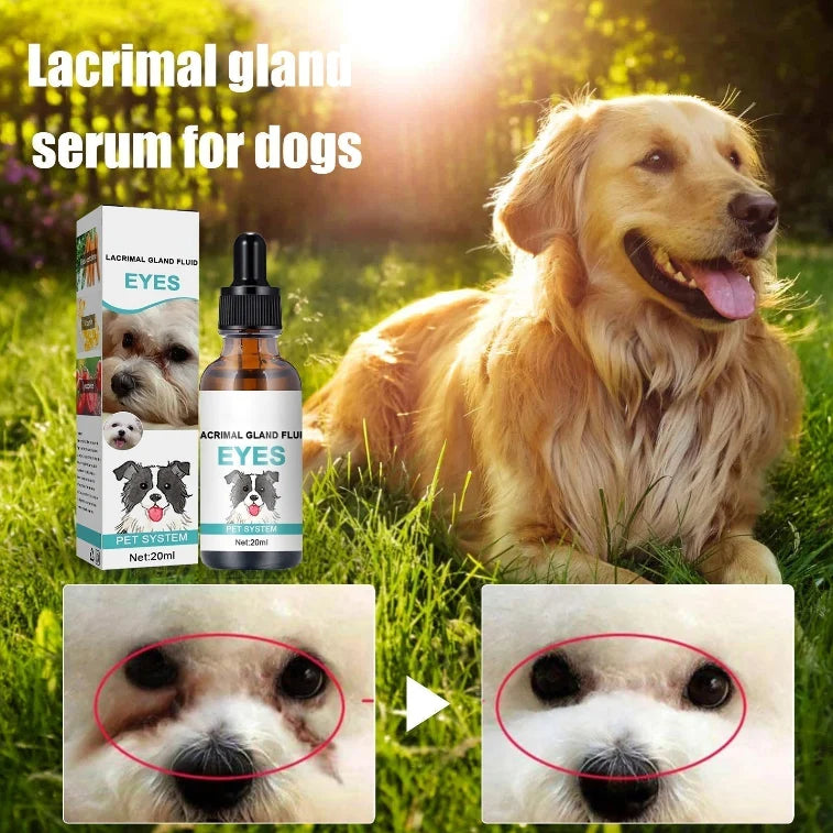Easy-Care Pet Eye Cleaner & Drops – Gentle pH‑balanced formula, safe