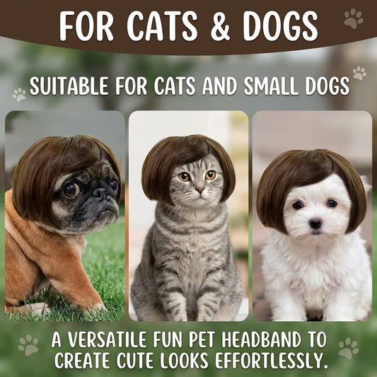Purpose-Built Pet Wig Hair Accessories for – & Cats for Everyday Use