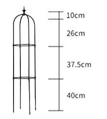 Garden Trellis Support for Climbing Flowers and Vegetable Vines