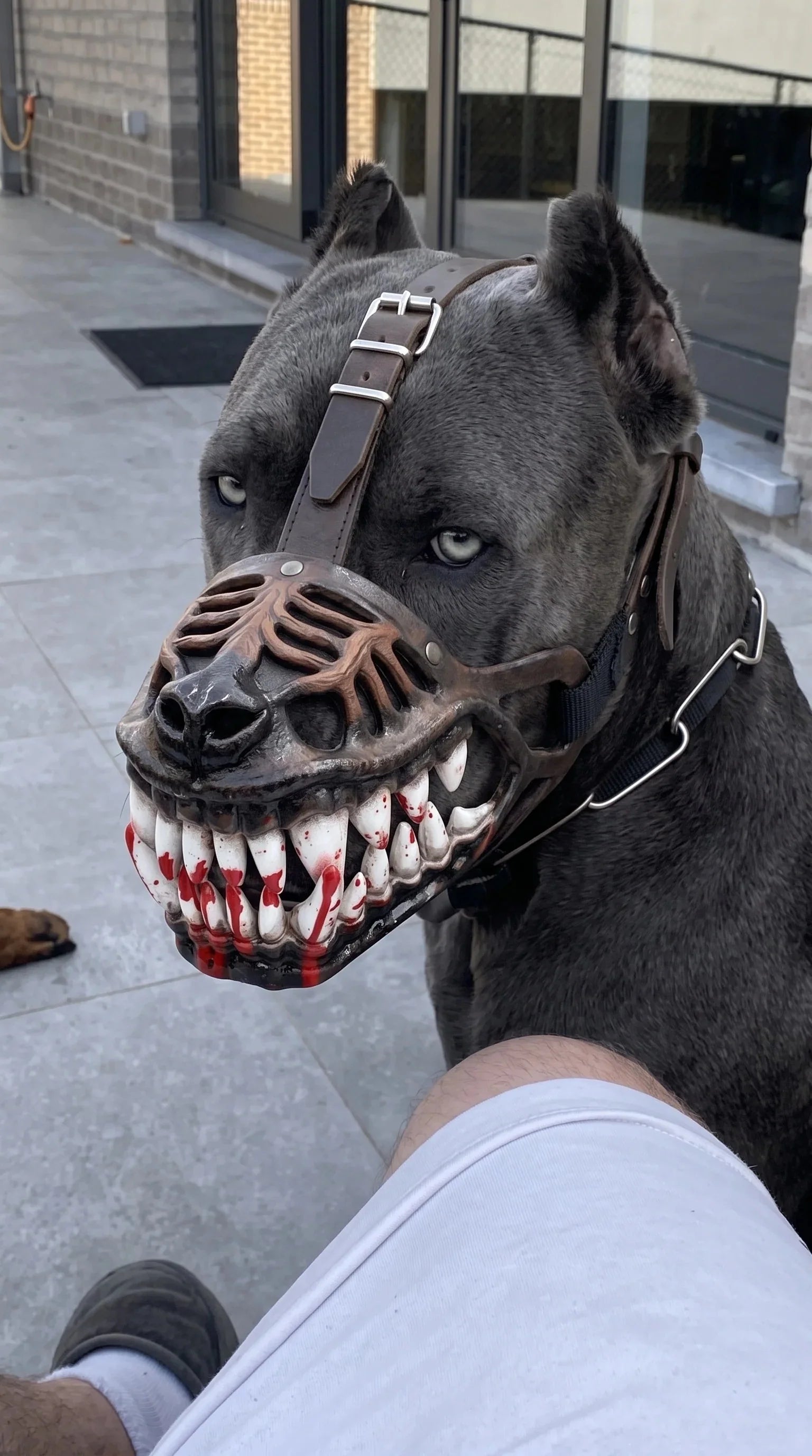 Purpose-Built EARLY Hell Hound Monster Muzzle for Everyday Use