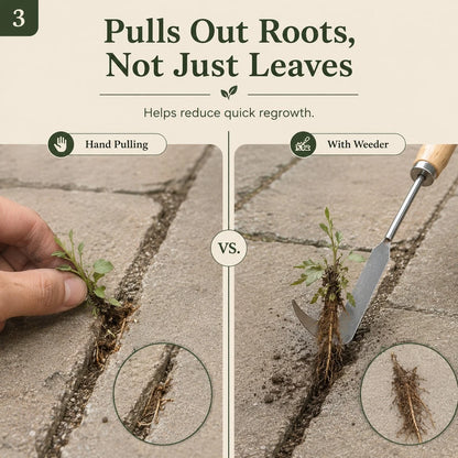 Purpose-Built Patio Crack Weeder for Everyday Use