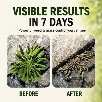 Purpose-Built Fast-Acting Natural Weed & Grass Killer