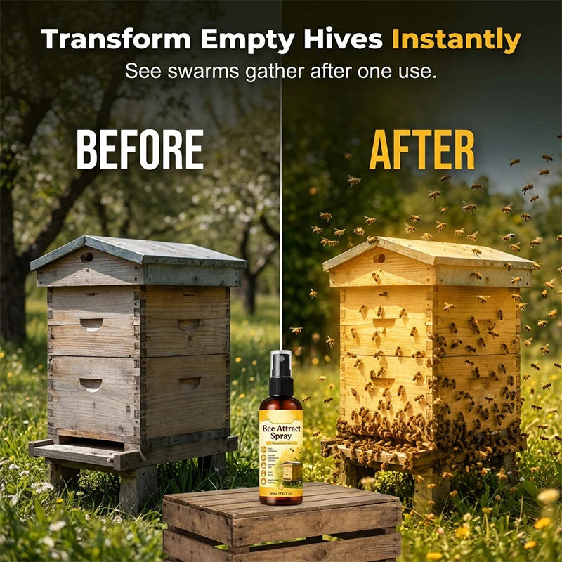 Purpose-Built Summer Natural Outdoor Bee Attractant