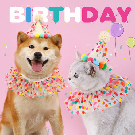 Pet Birthday Party Kit — Dog & Cat Celebration Hats, Bibs & Photo Props