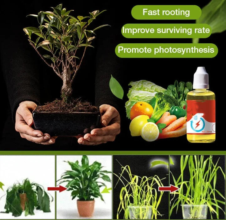 Purpose-Built Plant Growth Support Supplement for Everyday Use