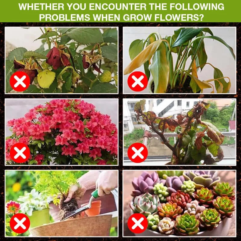 Purpose-Built Plant Growth Support Supplement for Everyday Use