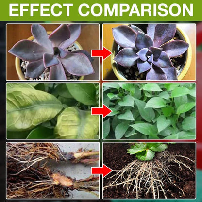 Purpose-Built Plant Growth Support Supplement for Everyday Use