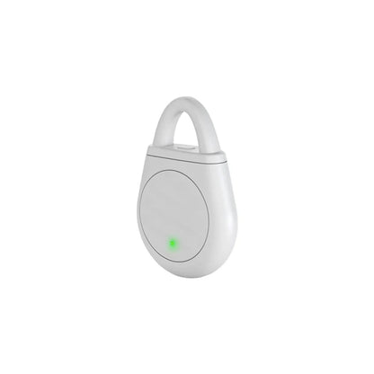 Pocket Ultrasonic Bird Repellent Keychain