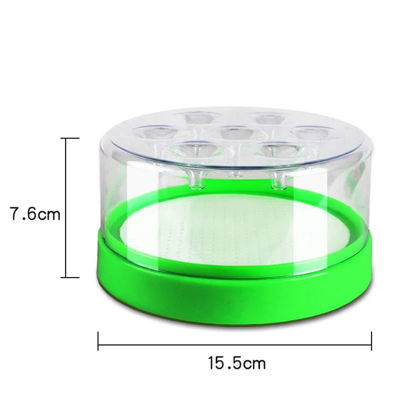 Purpose-Built Reusable Non-Electric Fly Trap for Everyday Use