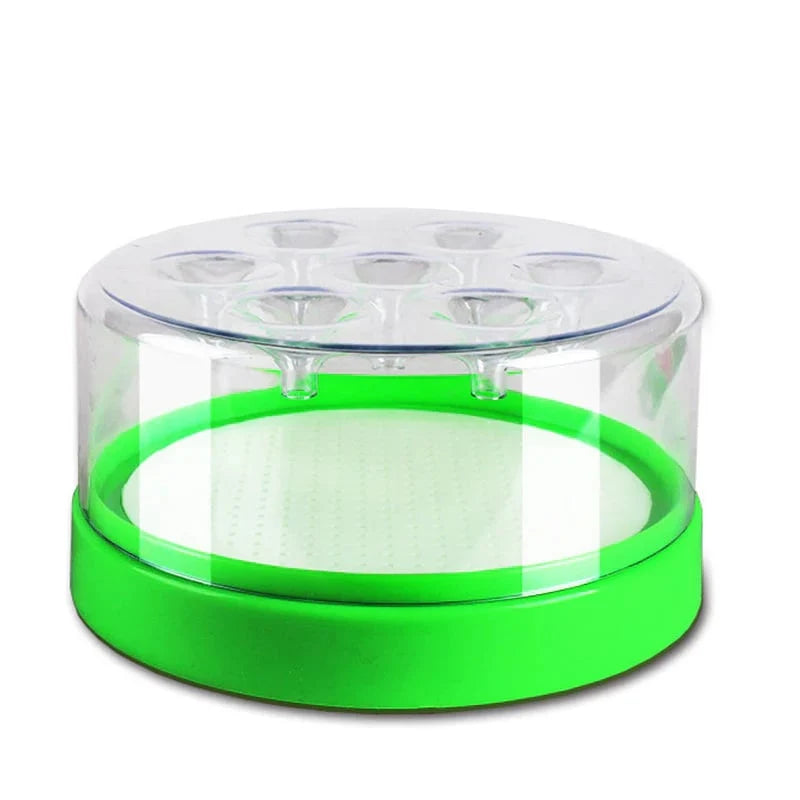 Purpose-Built Reusable Non-Electric Fly Trap for Everyday Use