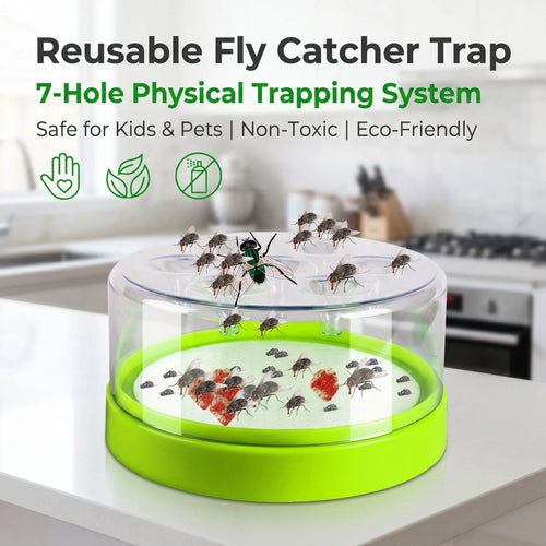 Purpose-Built Reusable Non-Electric Fly Trap for Everyday Use