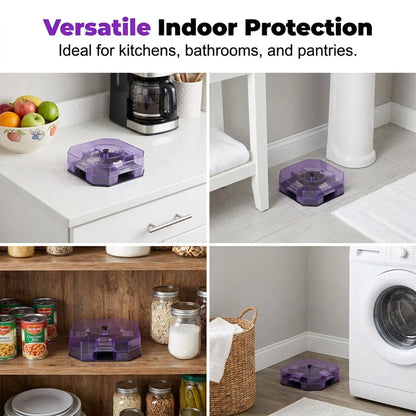 Practical Reusable Effective Roach Trap， Non-Toxic Sticky Cockroach