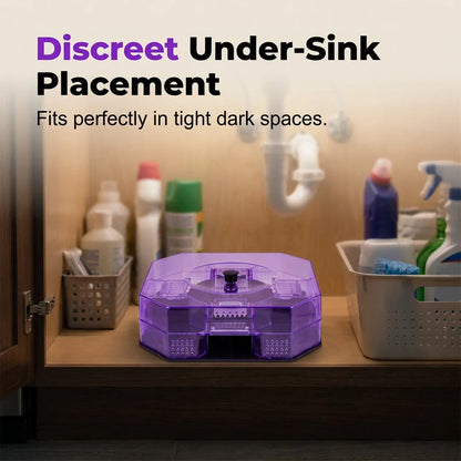 Practical Reusable Effective Roach Trap， Non-Toxic Sticky Cockroach