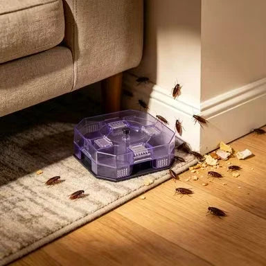 Practical Reusable Effective Roach Trap， Non-Toxic Sticky Cockroach