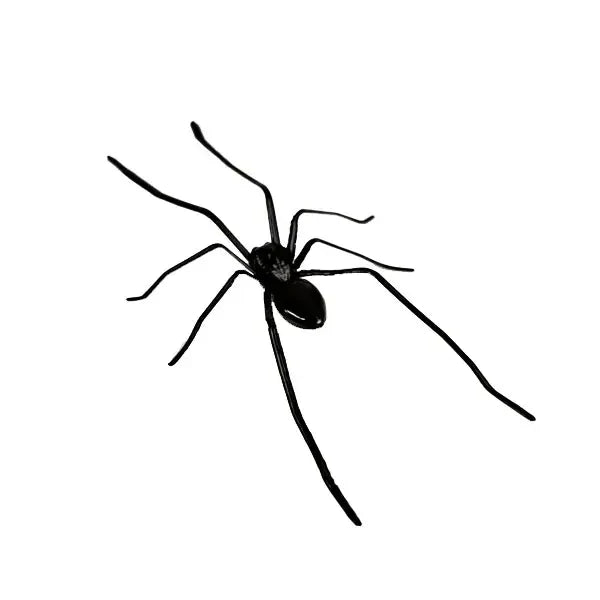 Realistic Spider Magnets for Refrigerators, Cars, and Metal Doors