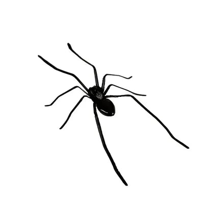Realistic Spider Magnets for Refrigerators, Cars, and Metal Doors