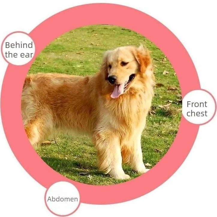 Gentle Pet Dematting & Deshedding Comb