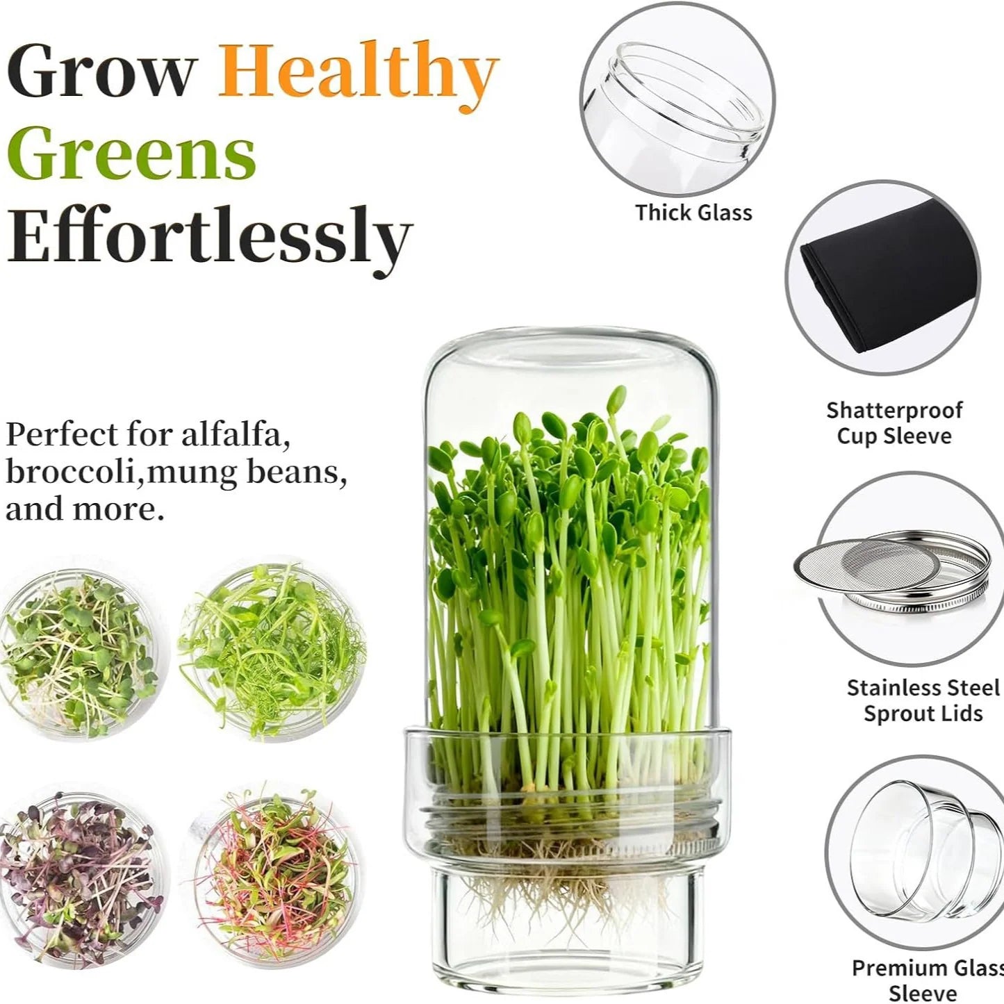 Wide-Mouth Mason Jar Set for Growing Fresh Sprouts at Home