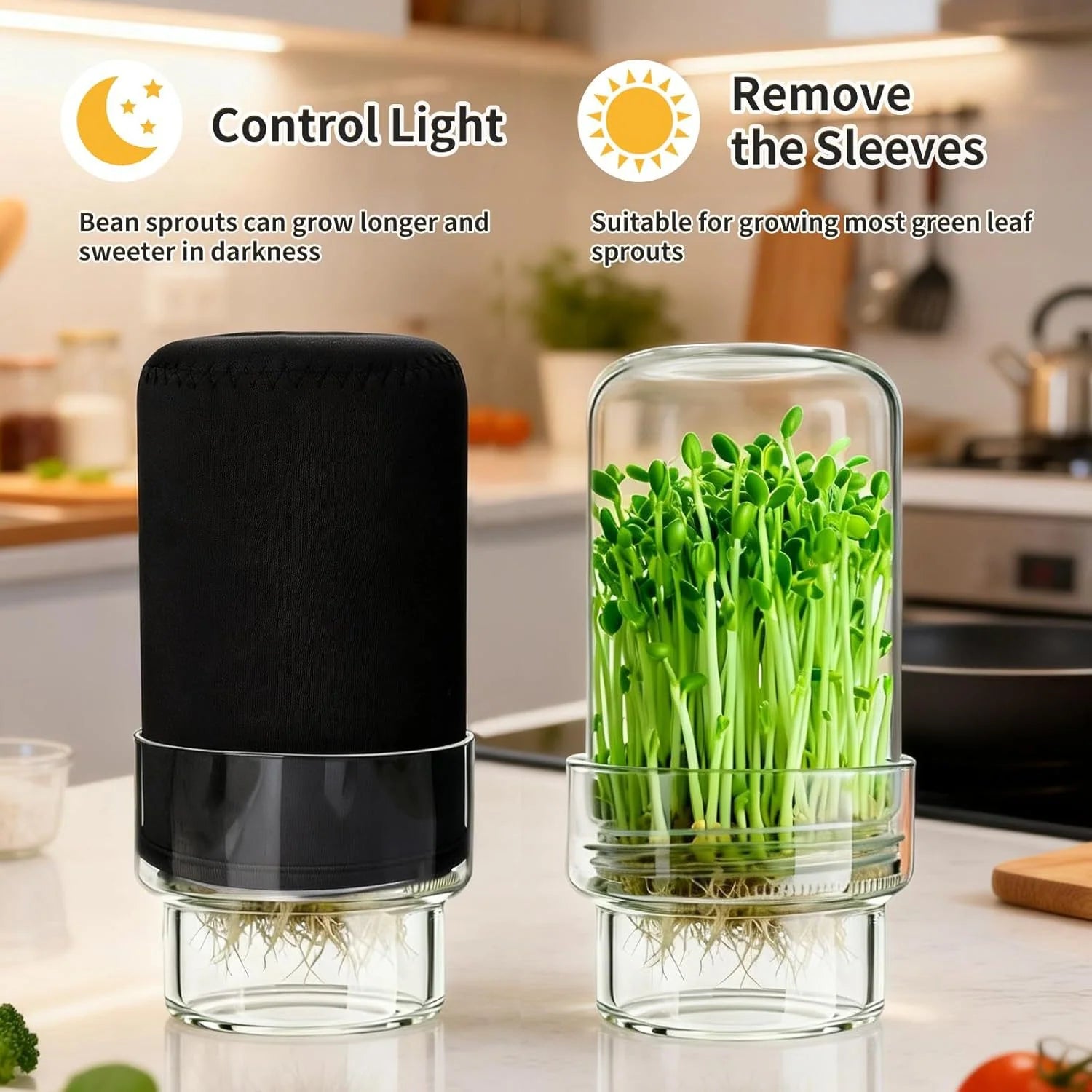 Wide-Mouth Mason Jar Set for Growing Fresh Sprouts at Home