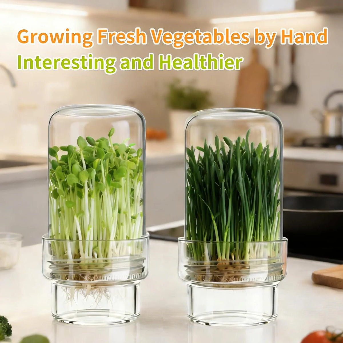 Wide-Mouth Mason Jar Set for Growing Fresh Sprouts at Home