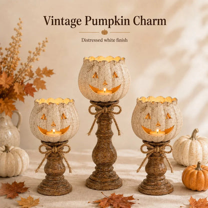 Decorative Set of 3 Rustic White Pumpkin Tealight Candle Holders