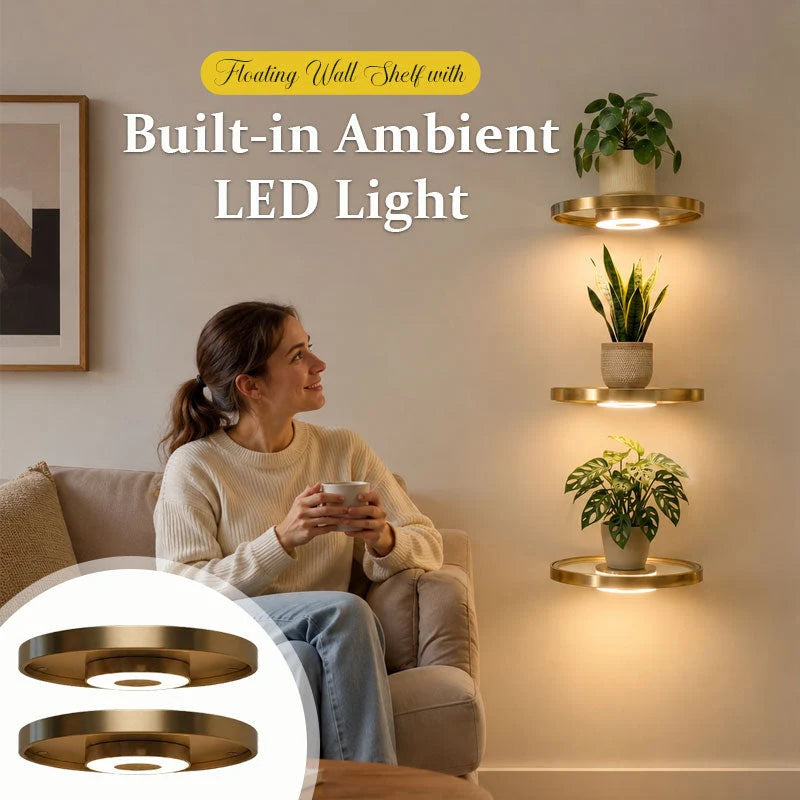 Wall-Mounted Display Ledge with Ambient Light and USB Port