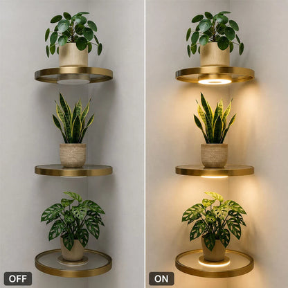 Wall-Mounted Display Ledge with Ambient Light and USB Port