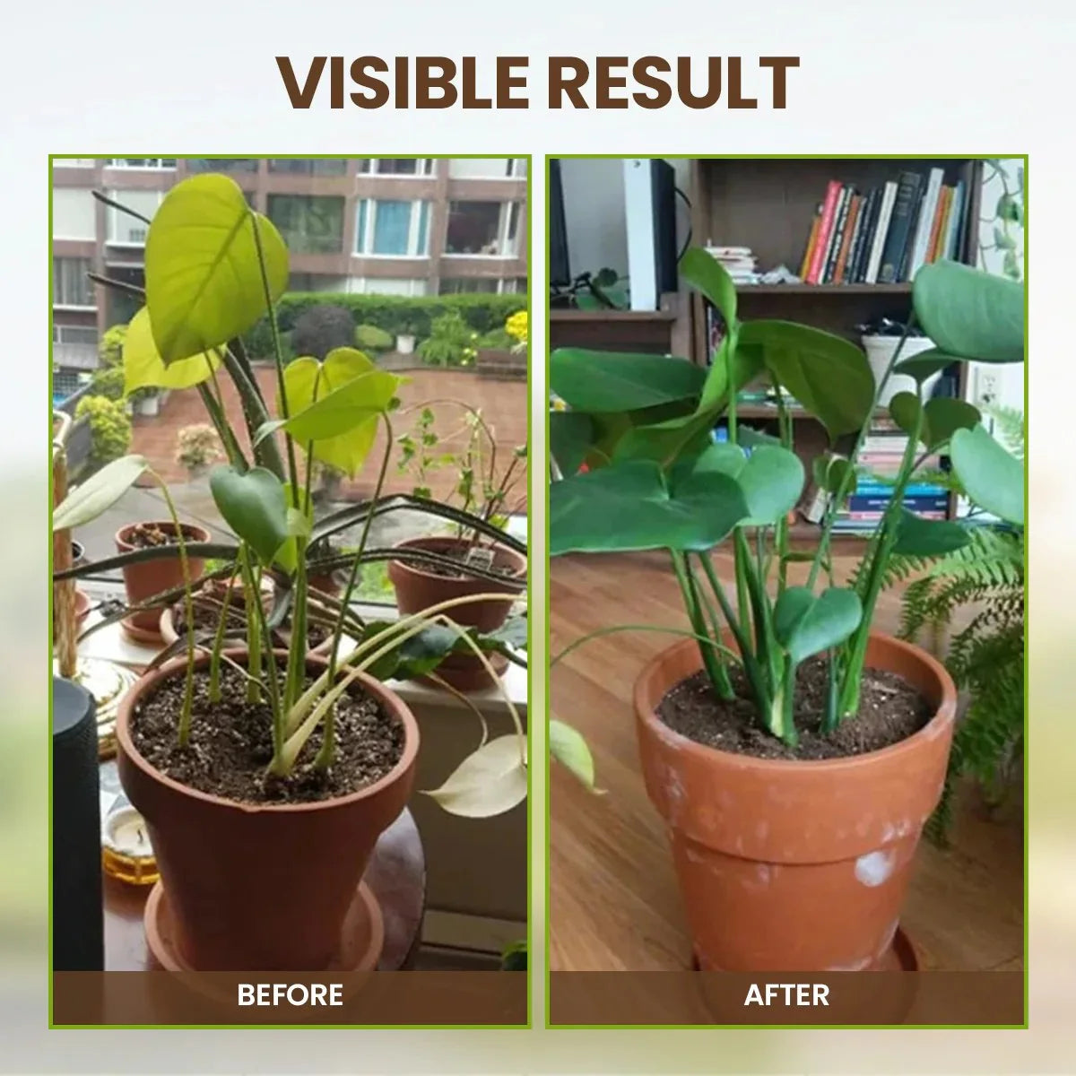 Purpose-Built DealSoil Pro Activator for Everyday Use